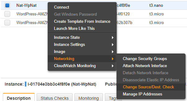 Configure Source/Dest Checking