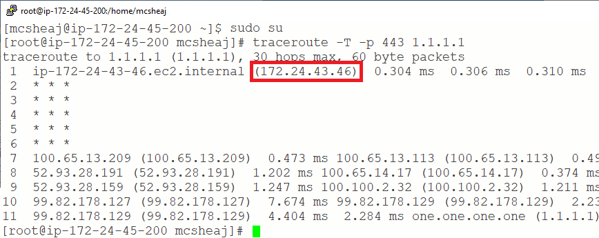traceroute 1.1.1.1