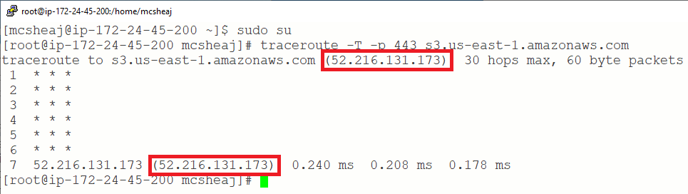 traceroute s3.amazon.com throgh the VPC Endpoint